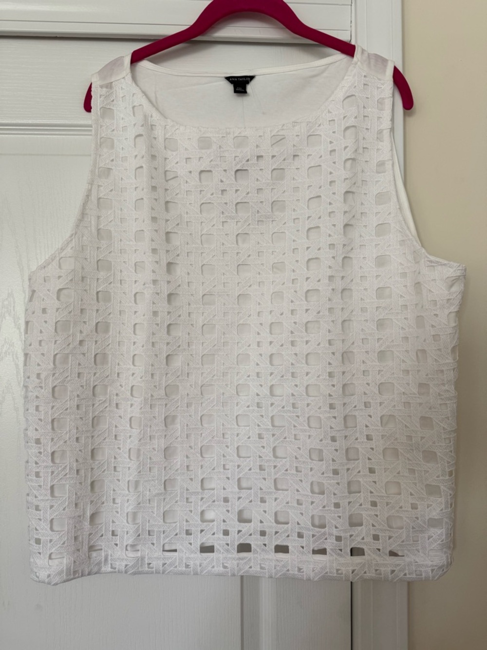 Ann Taylor Brand New Sleeveless White Eyelet Overlay Top